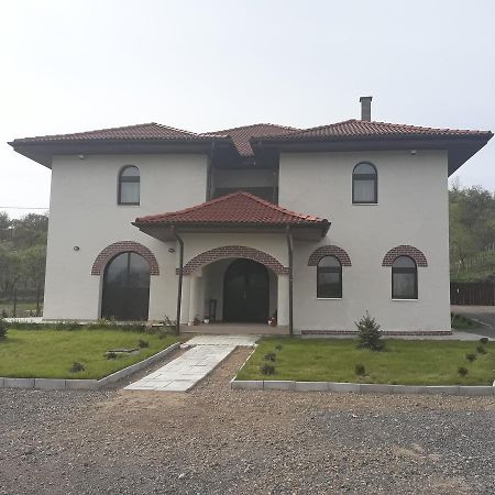 Pensiunea Casa Ungur Cetea Bagian luar foto
