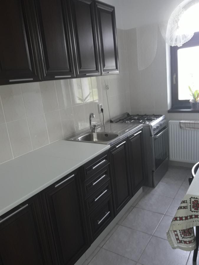Pensiunea Casa Ungur Cetea Bagian luar foto