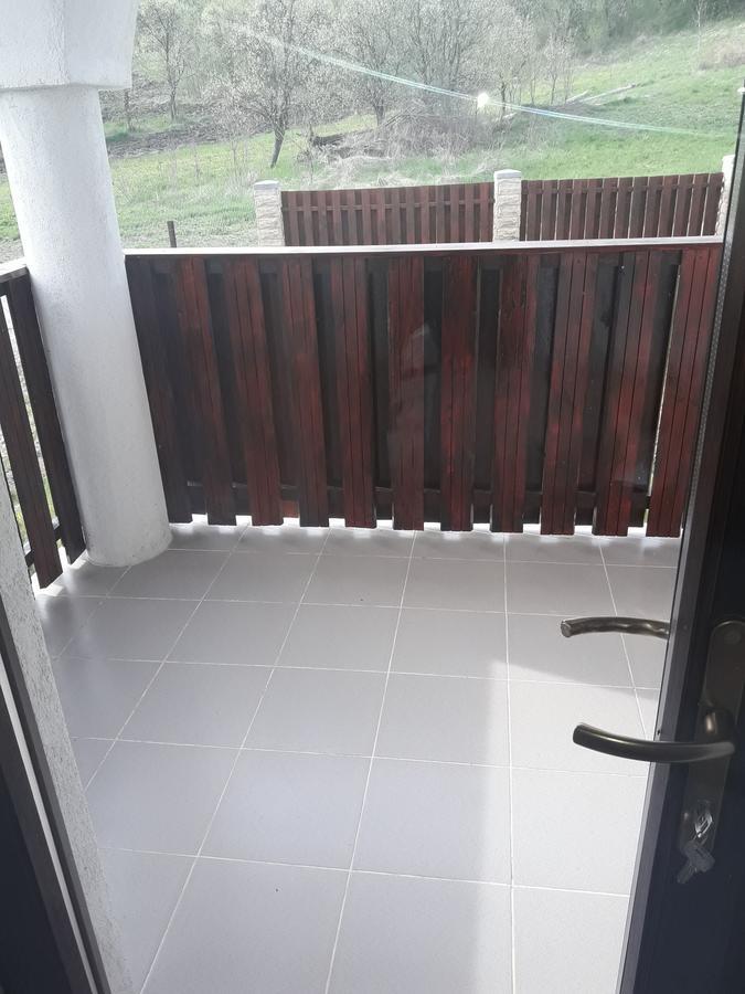 Pensiunea Casa Ungur Cetea Bagian luar foto