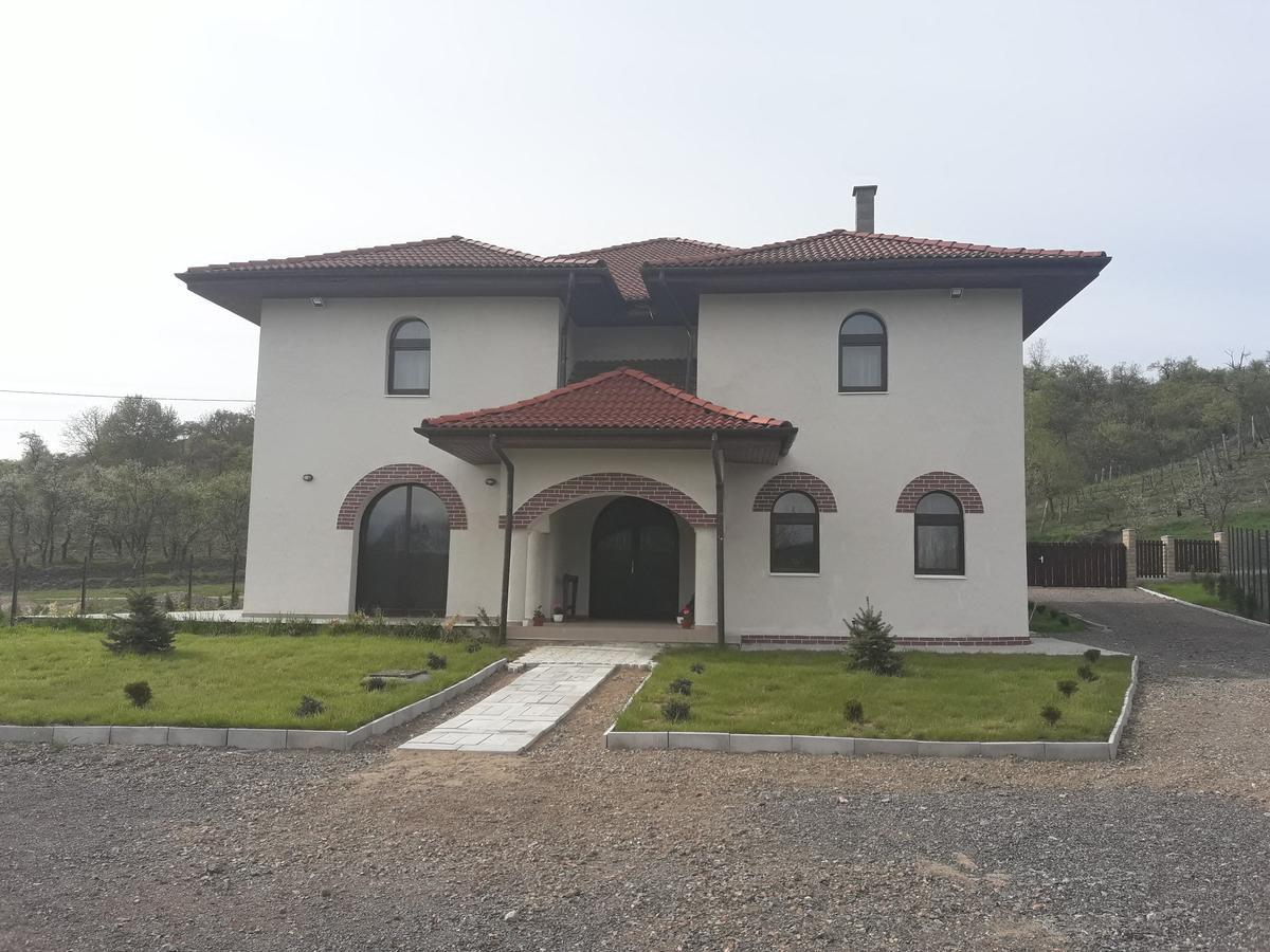 Pensiunea Casa Ungur Cetea Bagian luar foto
