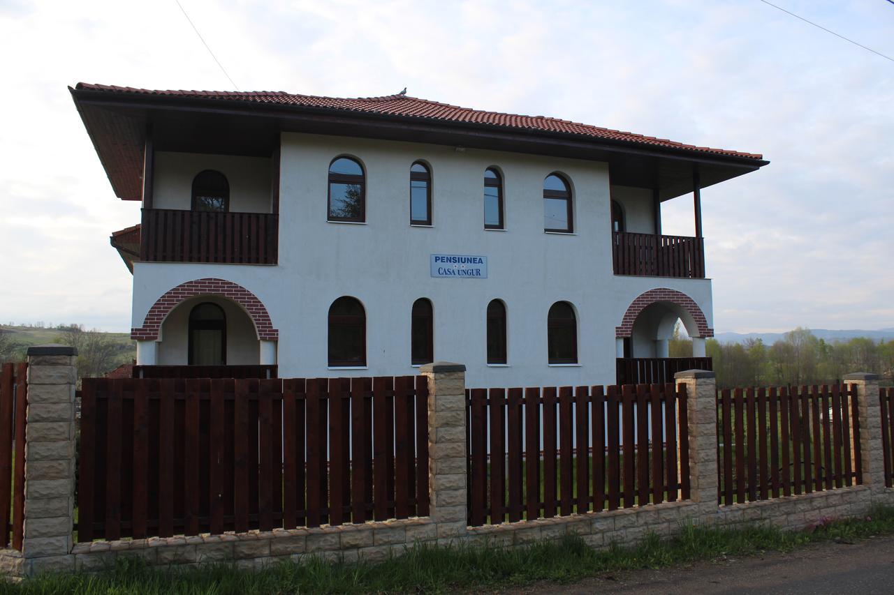 Pensiunea Casa Ungur Cetea Bagian luar foto
